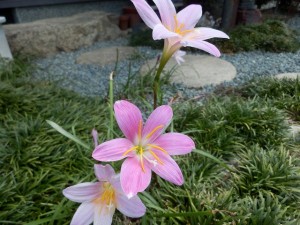 P6250320