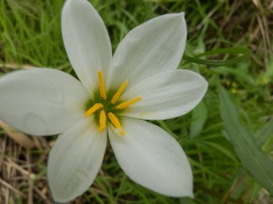P9230034