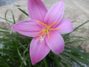 P9200031